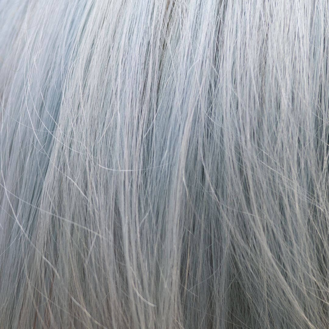 Beautiful, soft-looking gray hair with a purplish tint. 